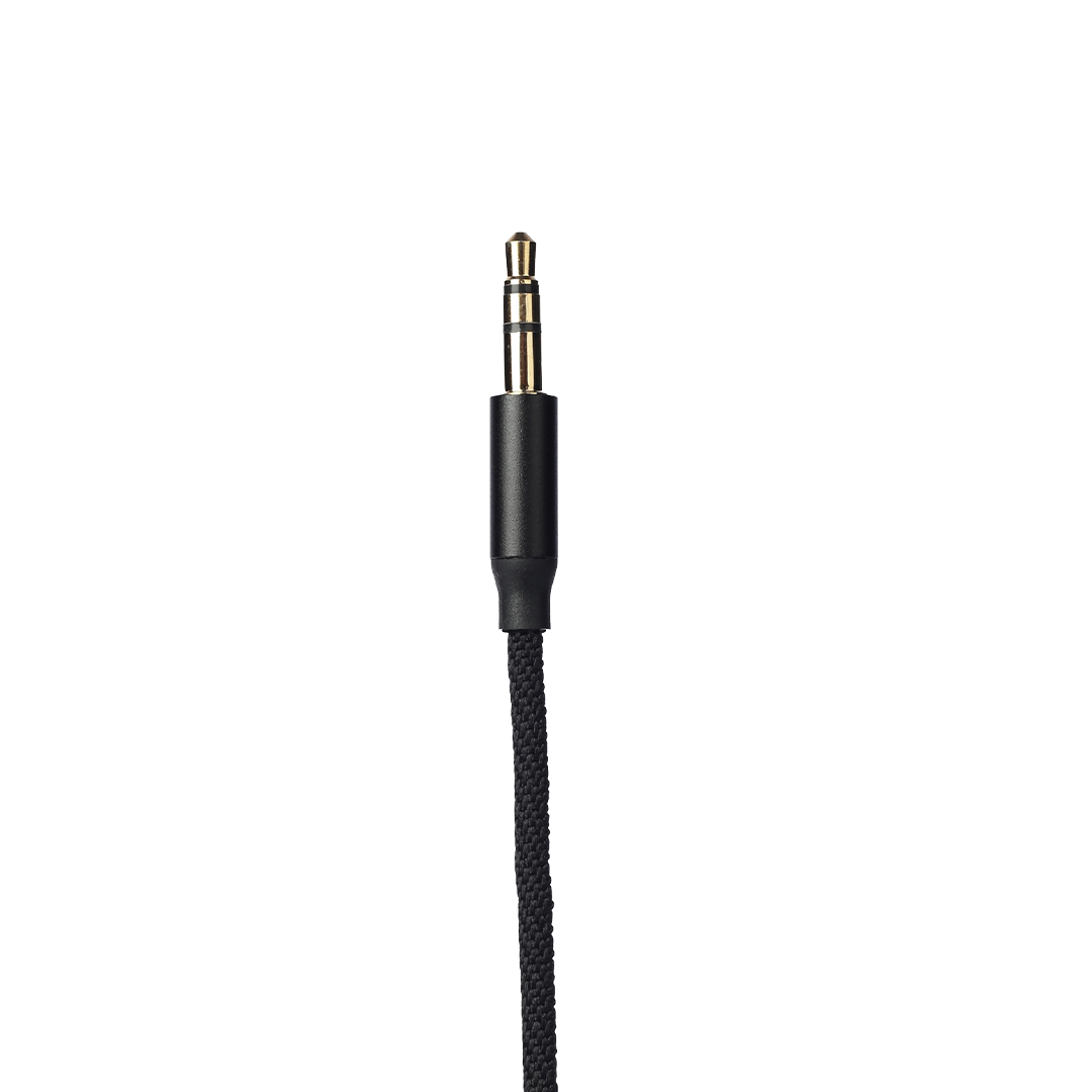 Iphone aux cable